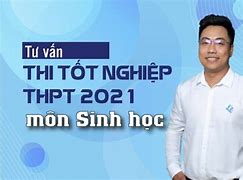 Điều Kiện Dự Thi Tốt Nghiệp Thpt 2021 Tại Tphcm Pdf Download