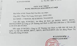 Người Nước Ngoài Không Phải Đóng Bảo Hiểm Xã Hội