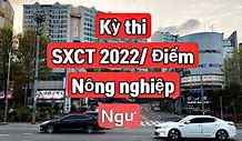 Xkld Mỹ 2022 Là Gì Ạ Tiếng Hàn Quốc Nói